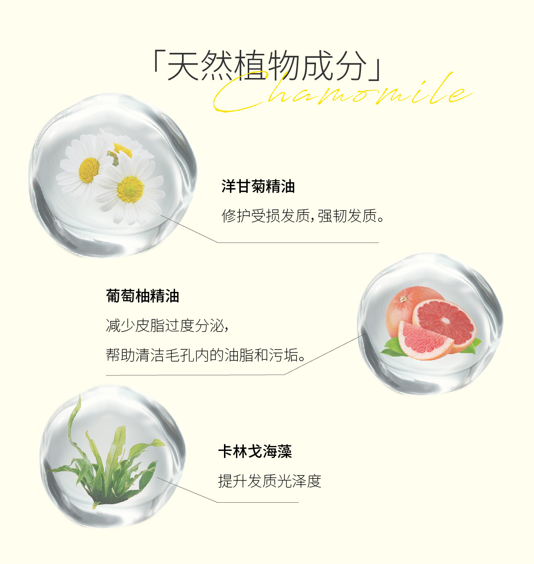 洋甘菊洗发皂详情页_画板 1 副本 4.jpg